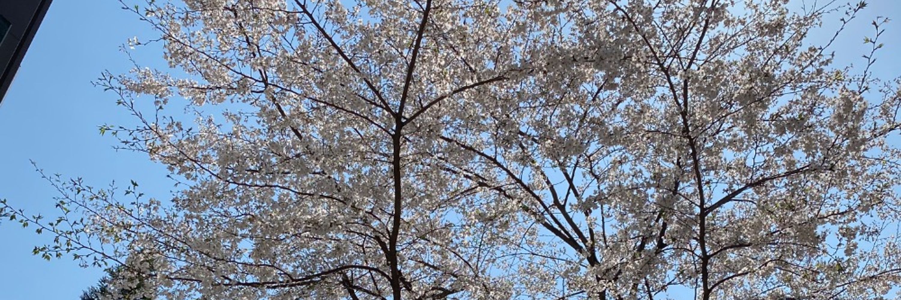 あいときぼうと ゆうき。