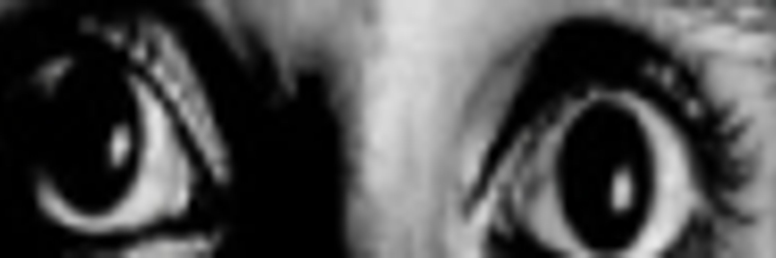 Joel Deek