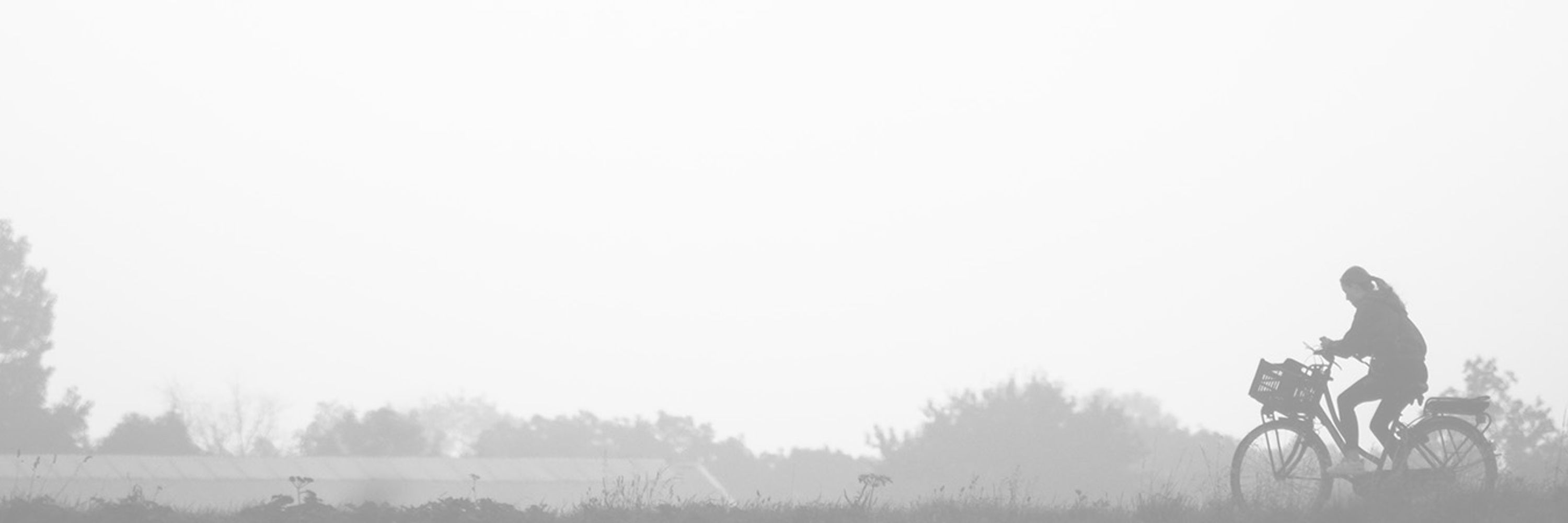 monochromichael