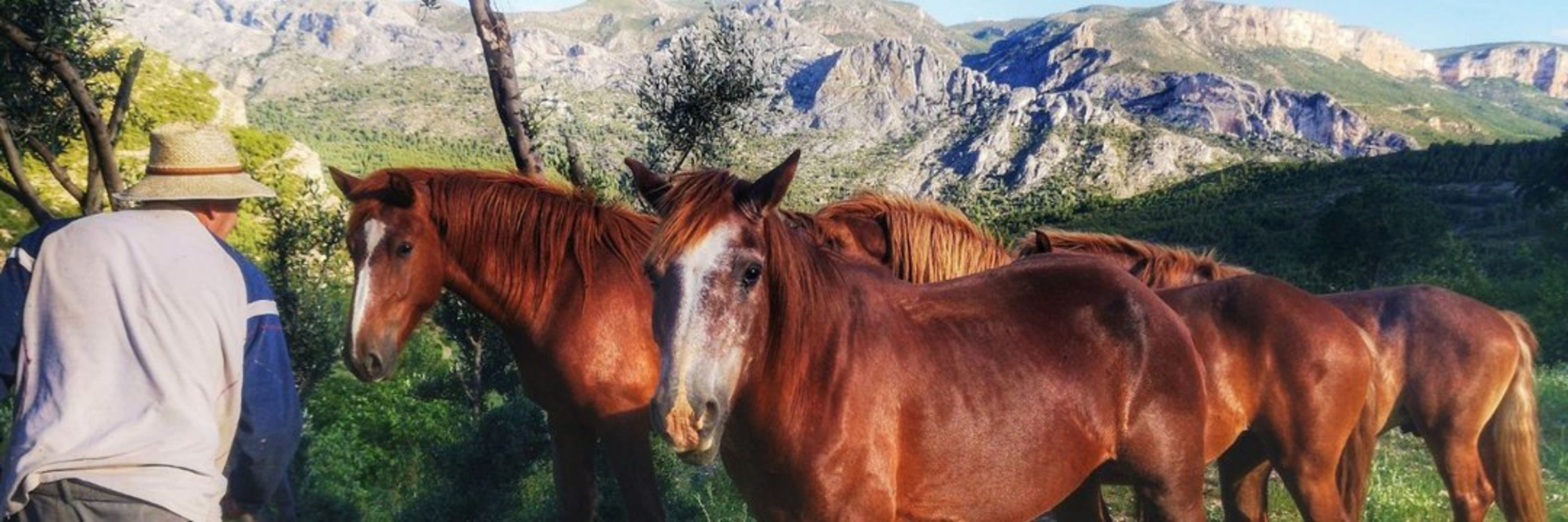 Plataforma a favor de los paisajes de Teruel