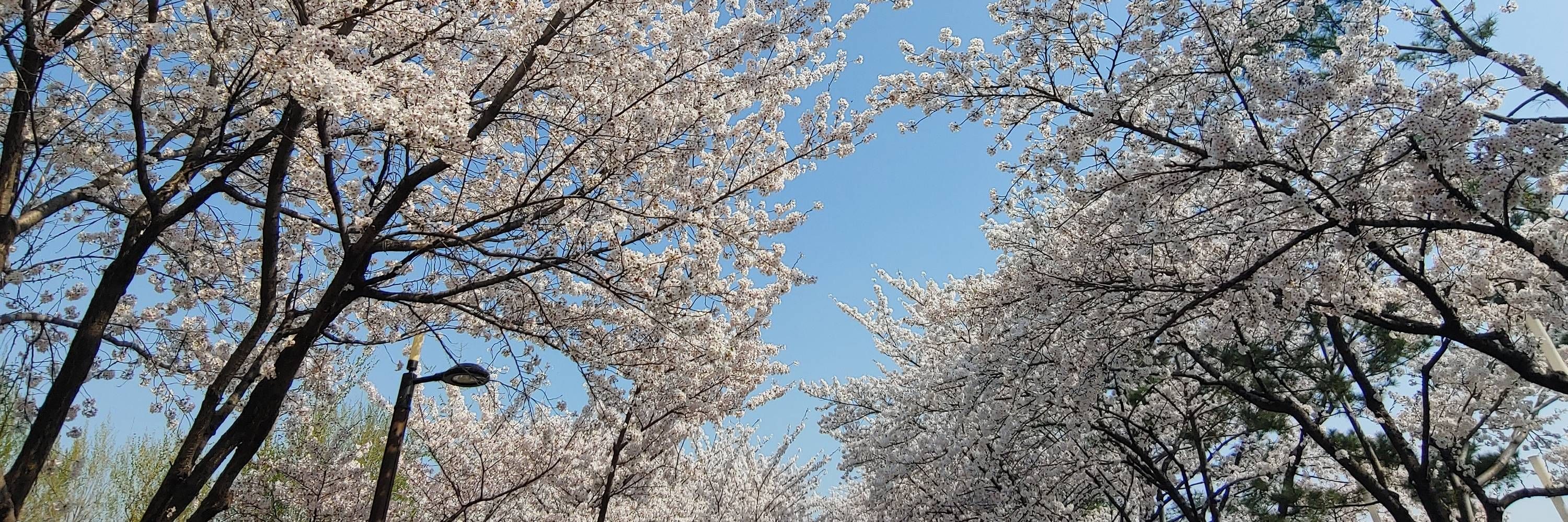 은여 the 블루스카이