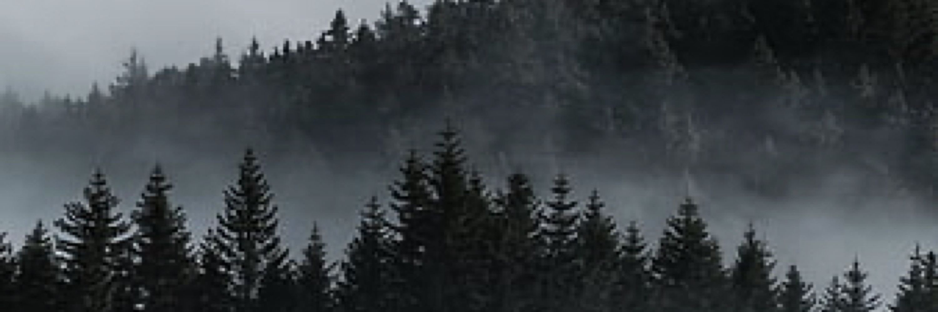 𝕭𝖗𝖞𝖈𝖊