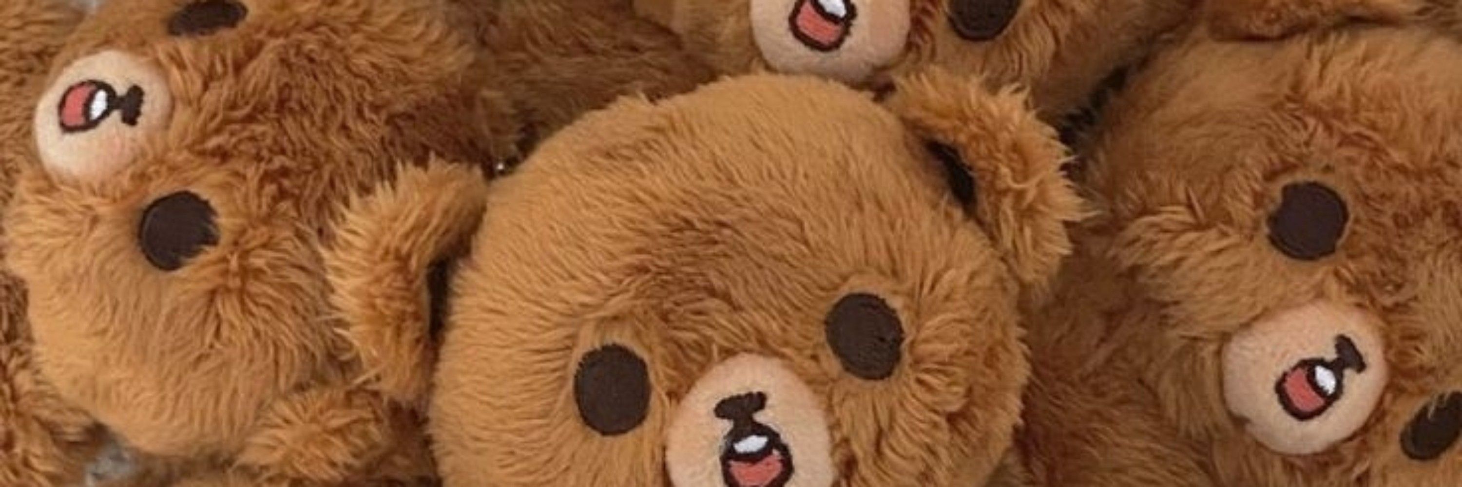 🐻🌻