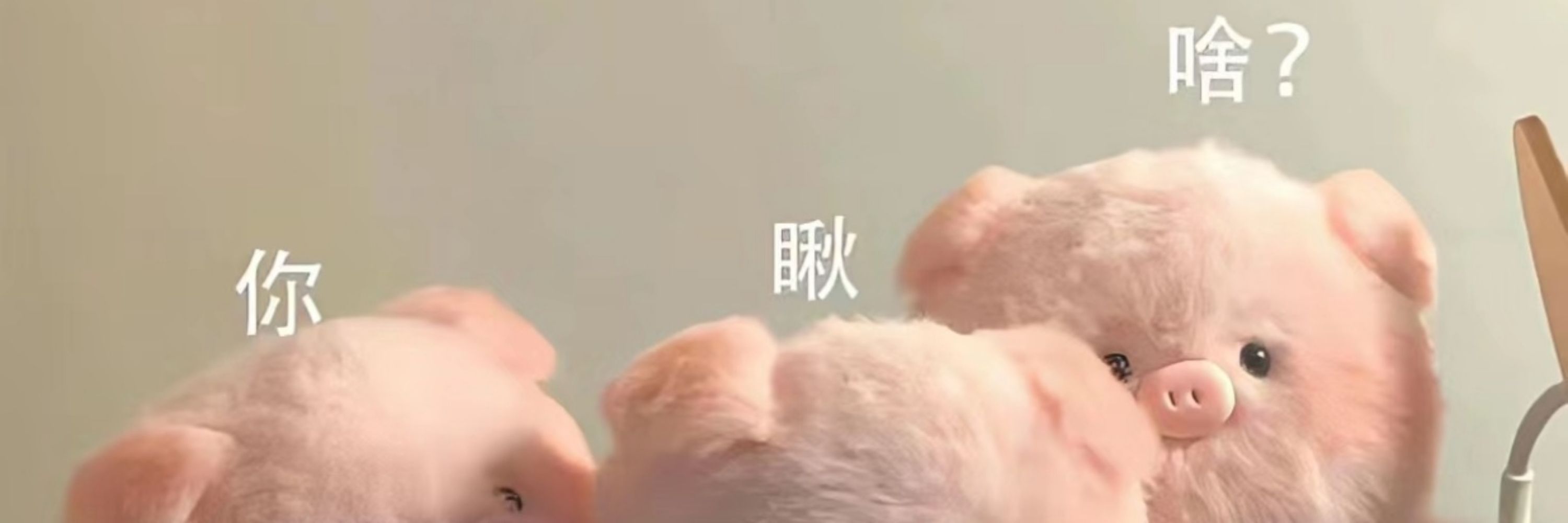 冬季小羊