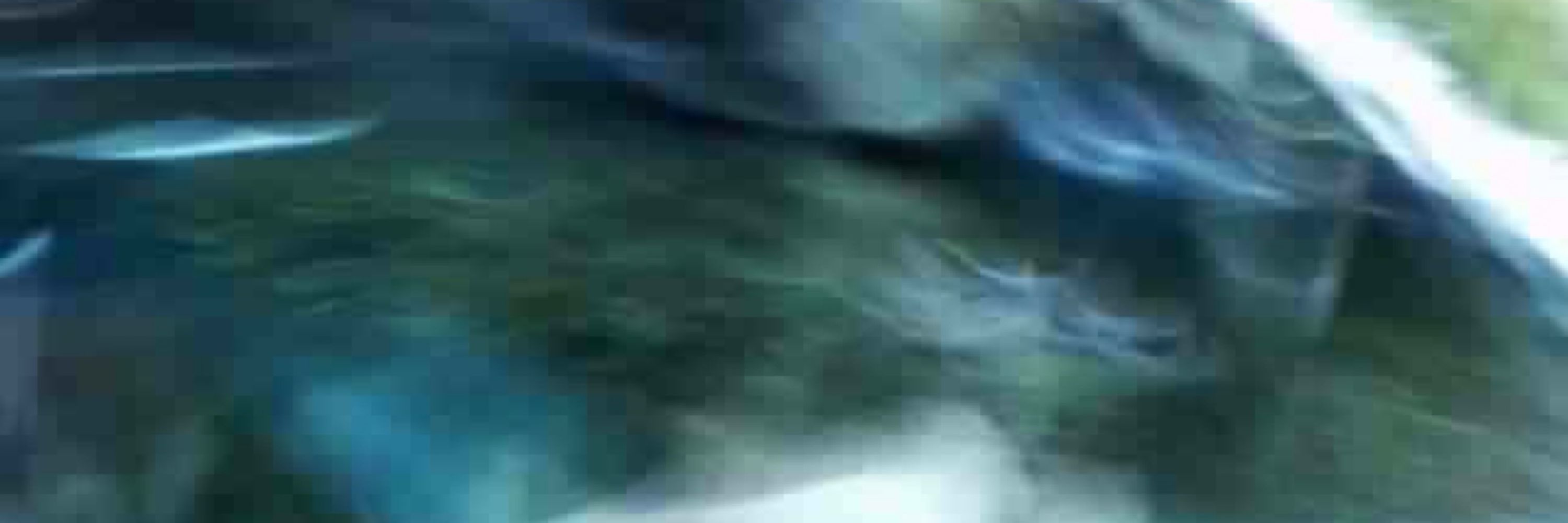 CorvidBlue