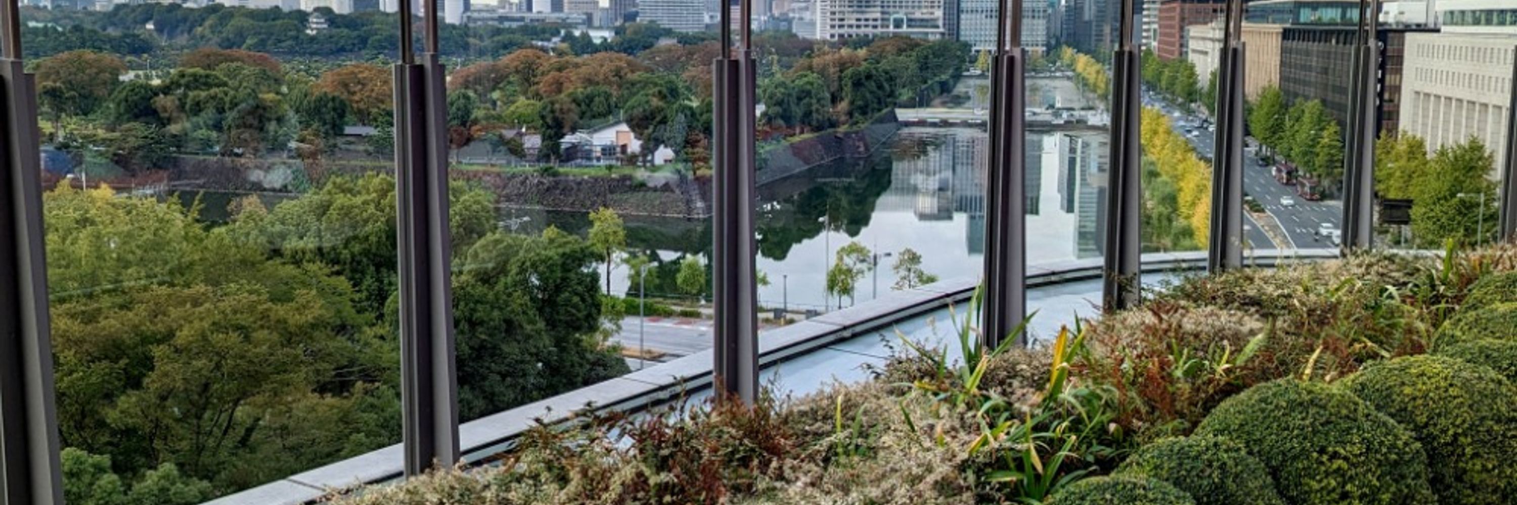 Where In Tokyo