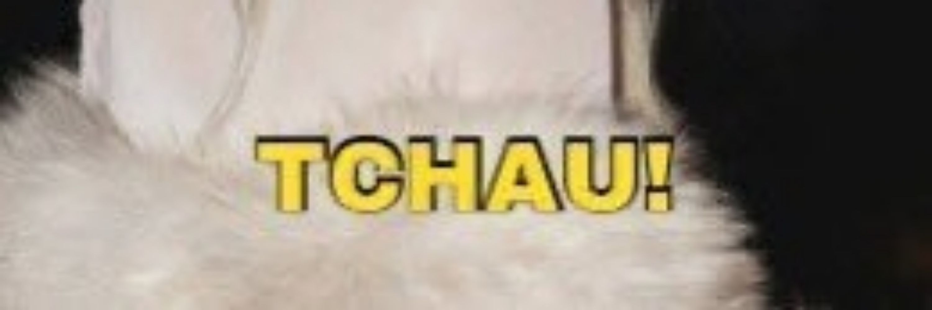 Ratazana do Twitter 