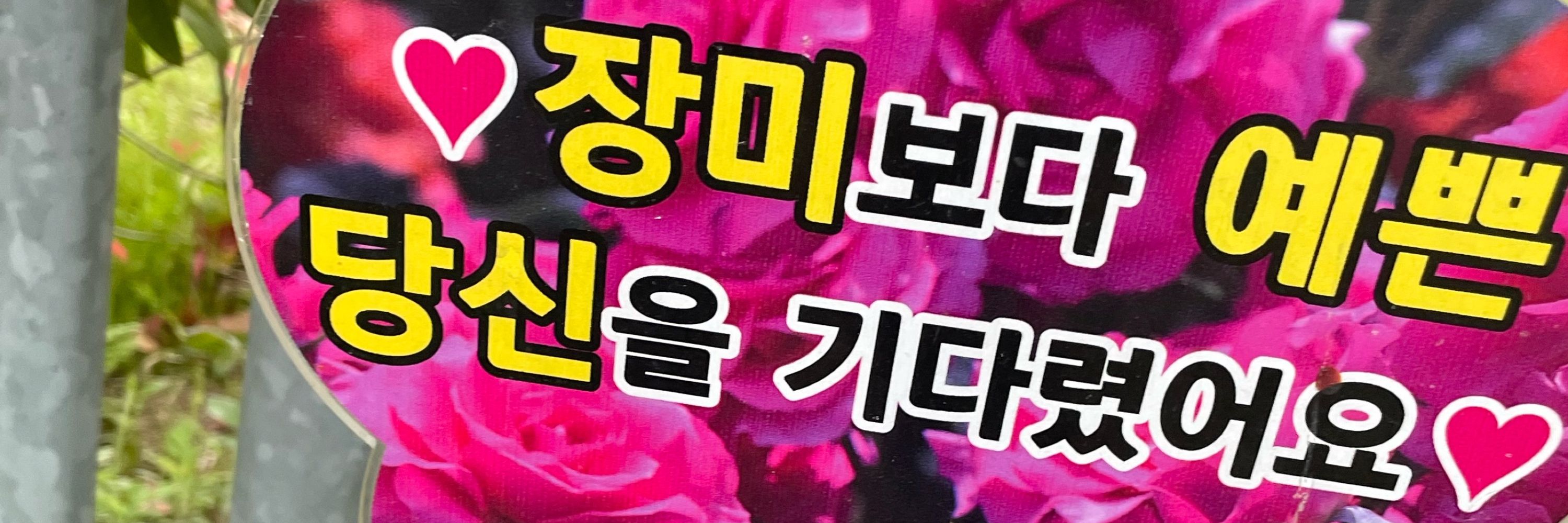 지강별