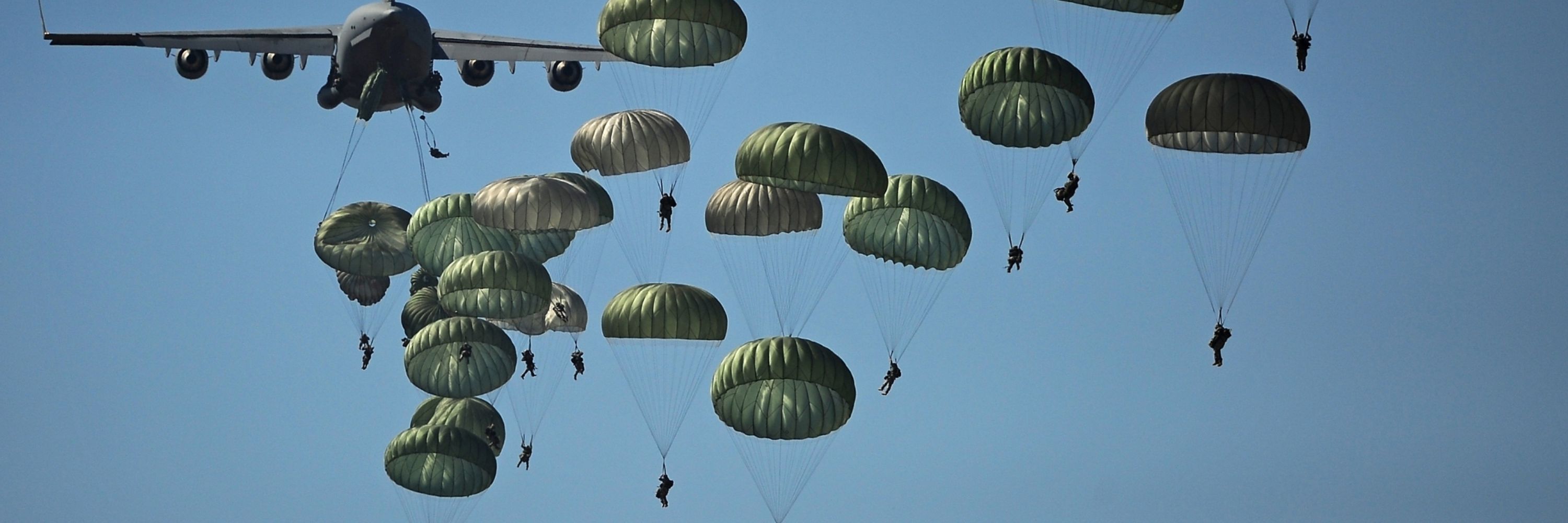 Airborne-Turtle