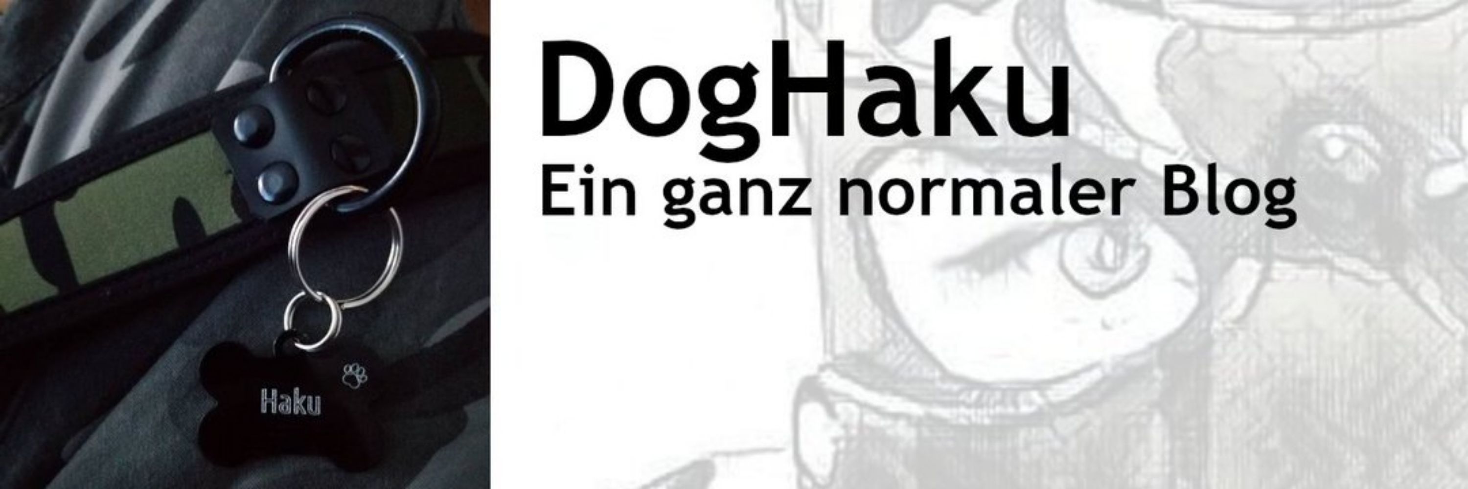 Pup Haku