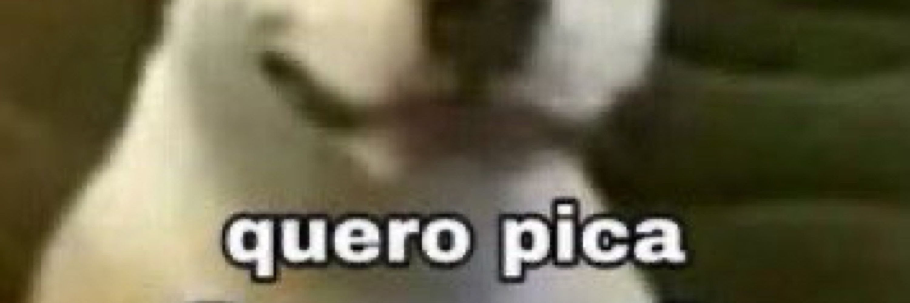 Japinha