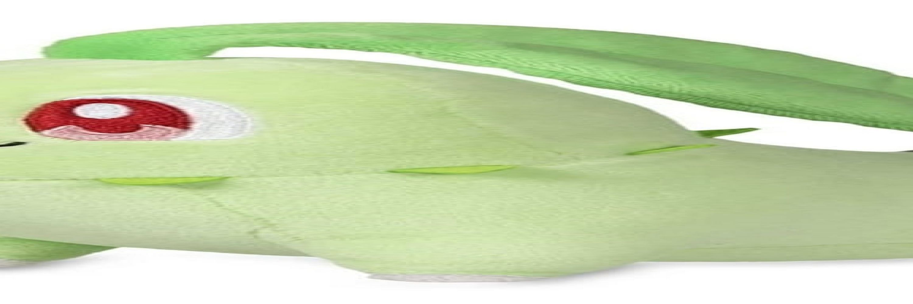 soupysushi
