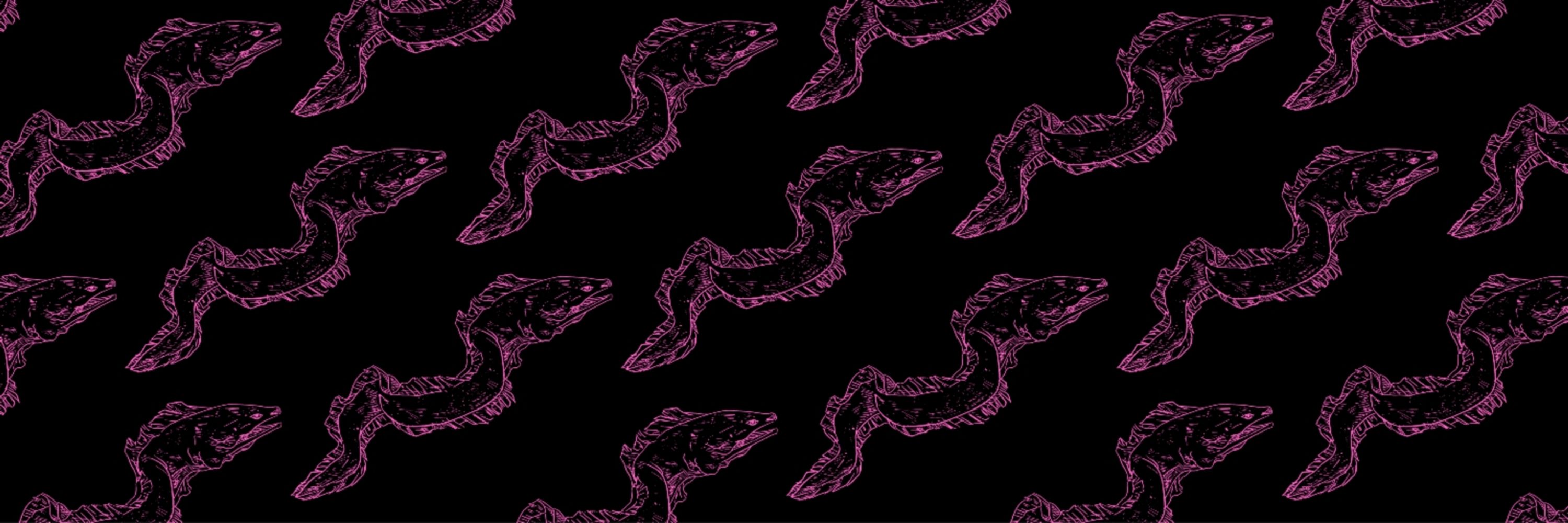 Saucy Eel