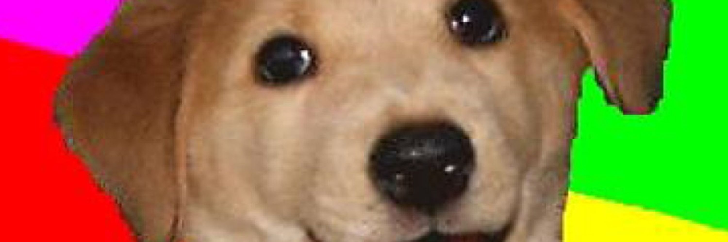 Stressed Potato