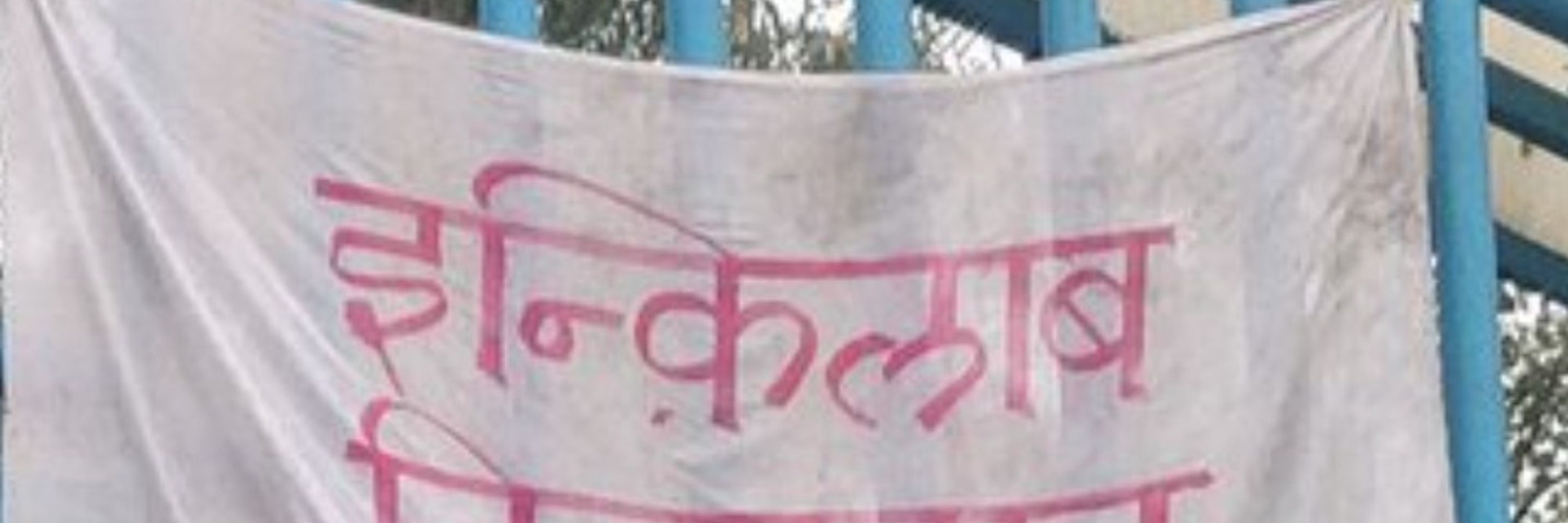Kavi
