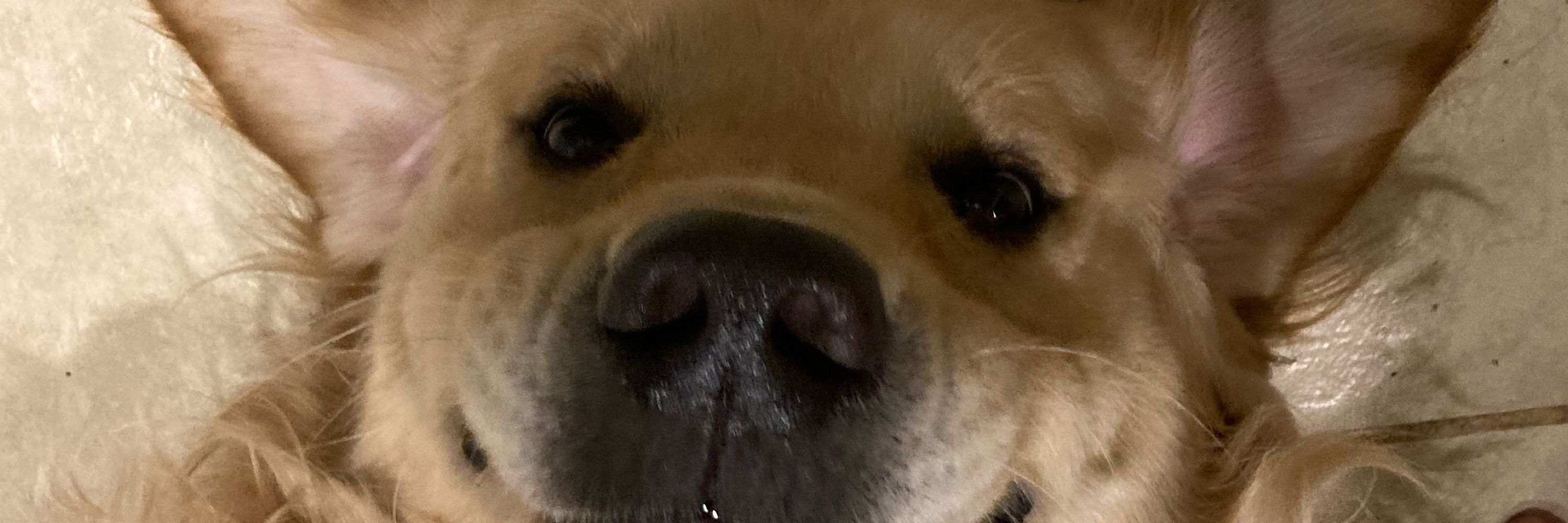 Sheriarg