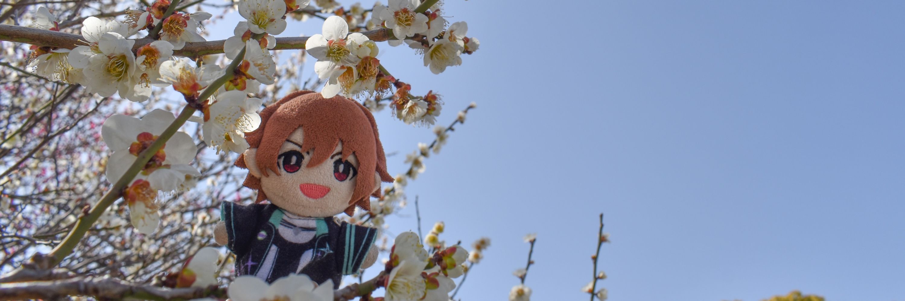 まきな
