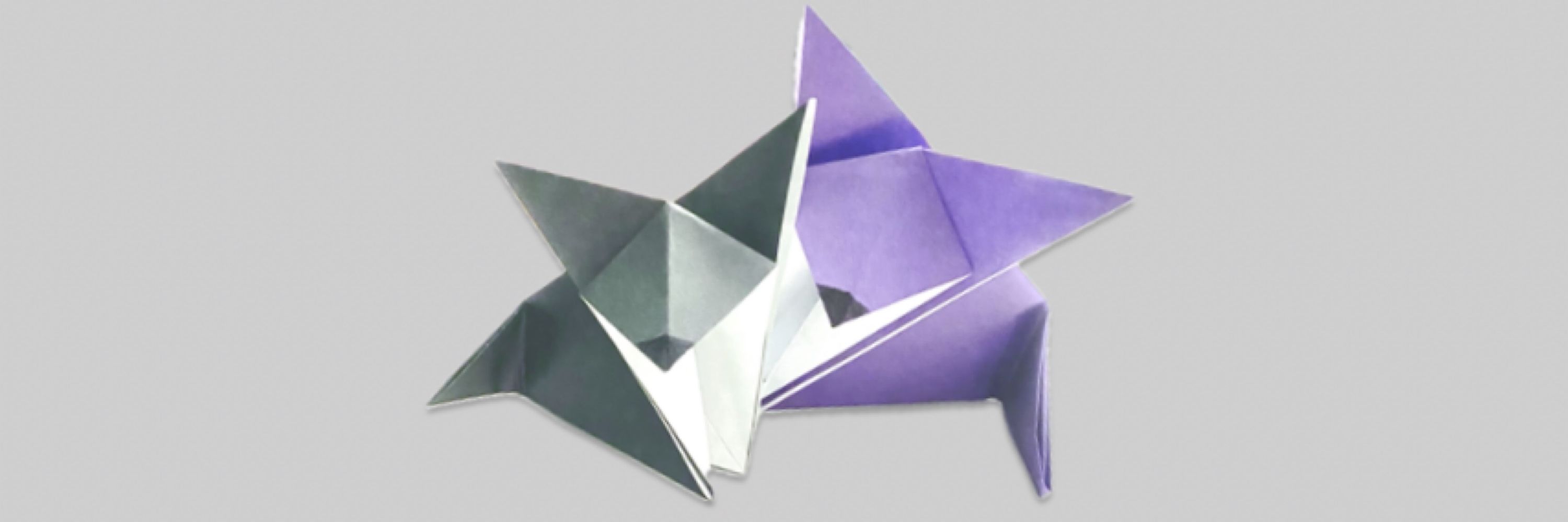FaeWingsAndFoxTails