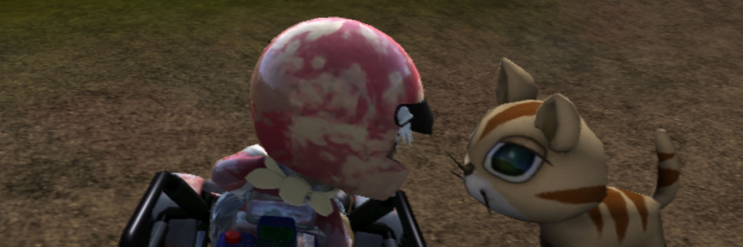 Jammytabbi