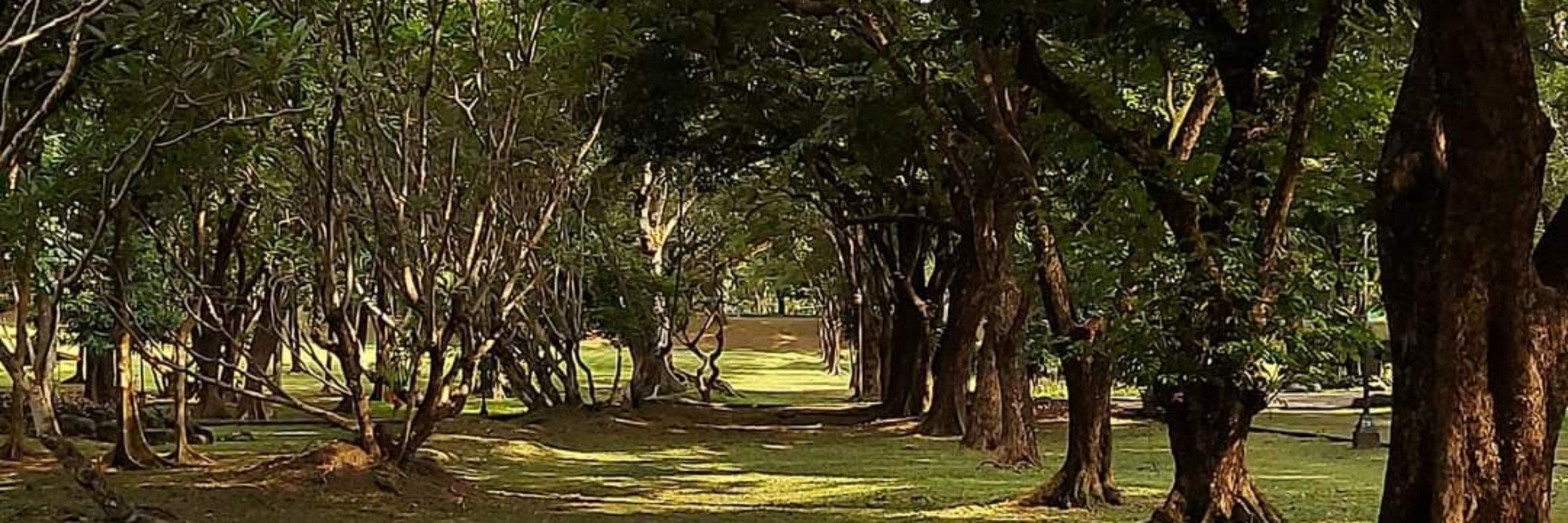 Maui Mauricio