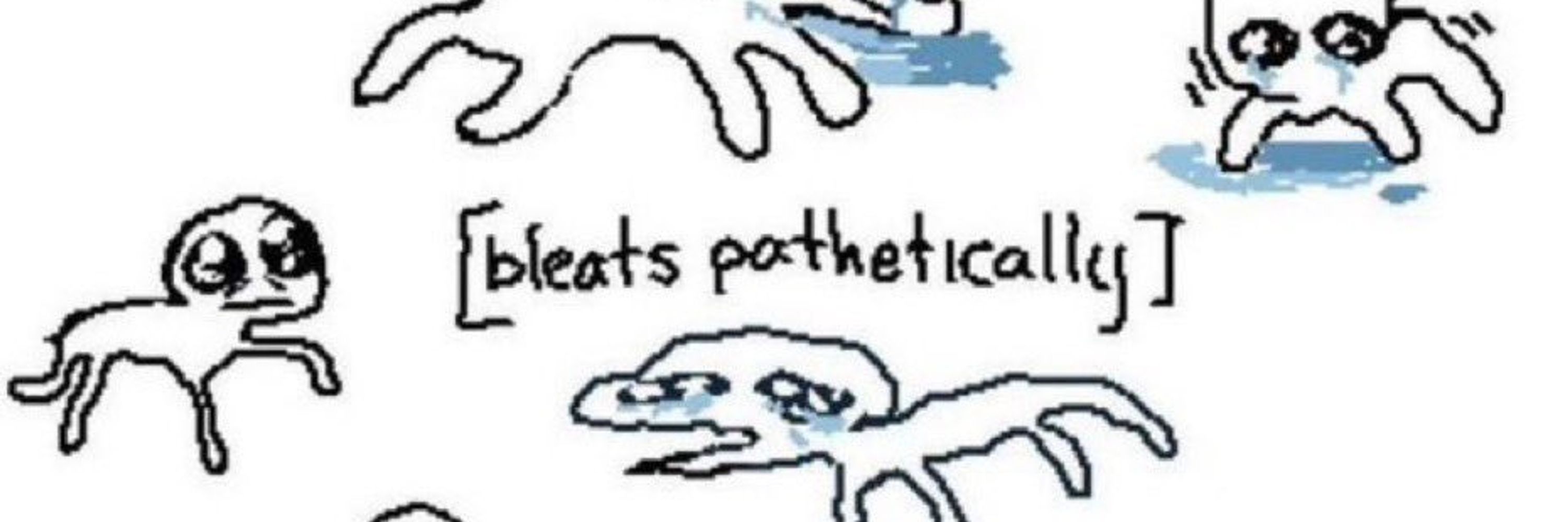 Beet