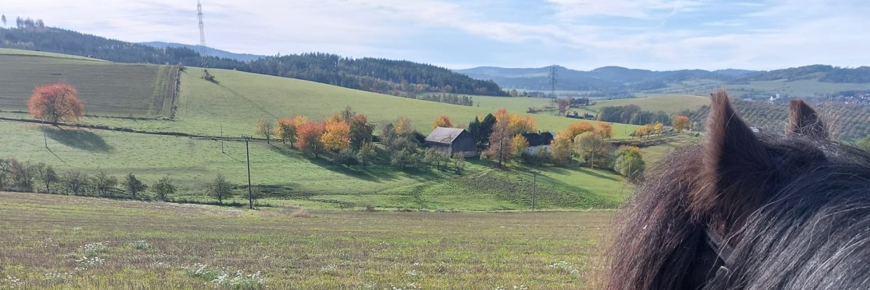 Lenka Křížová