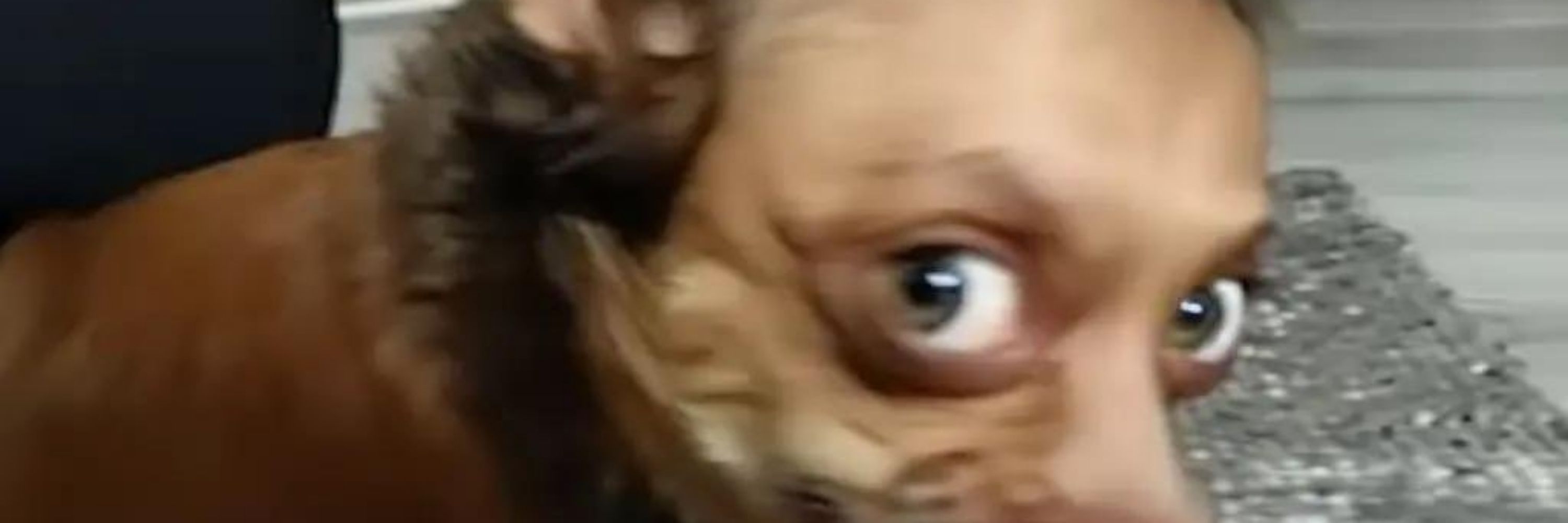 Bia