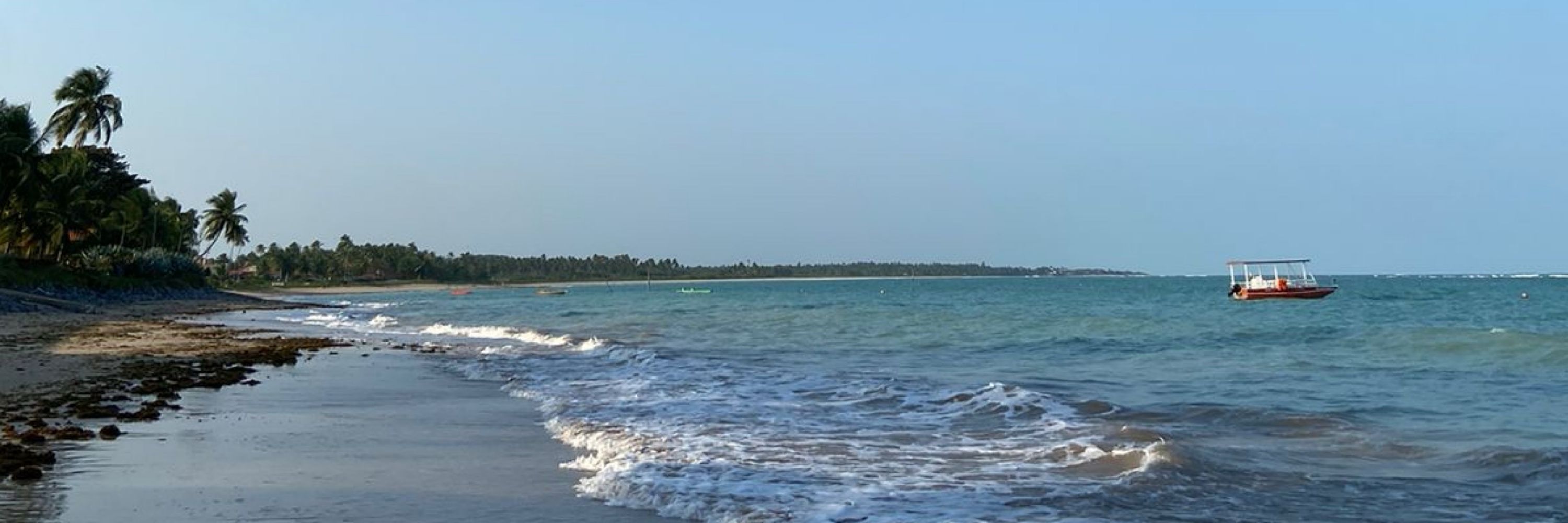 ana 🌊