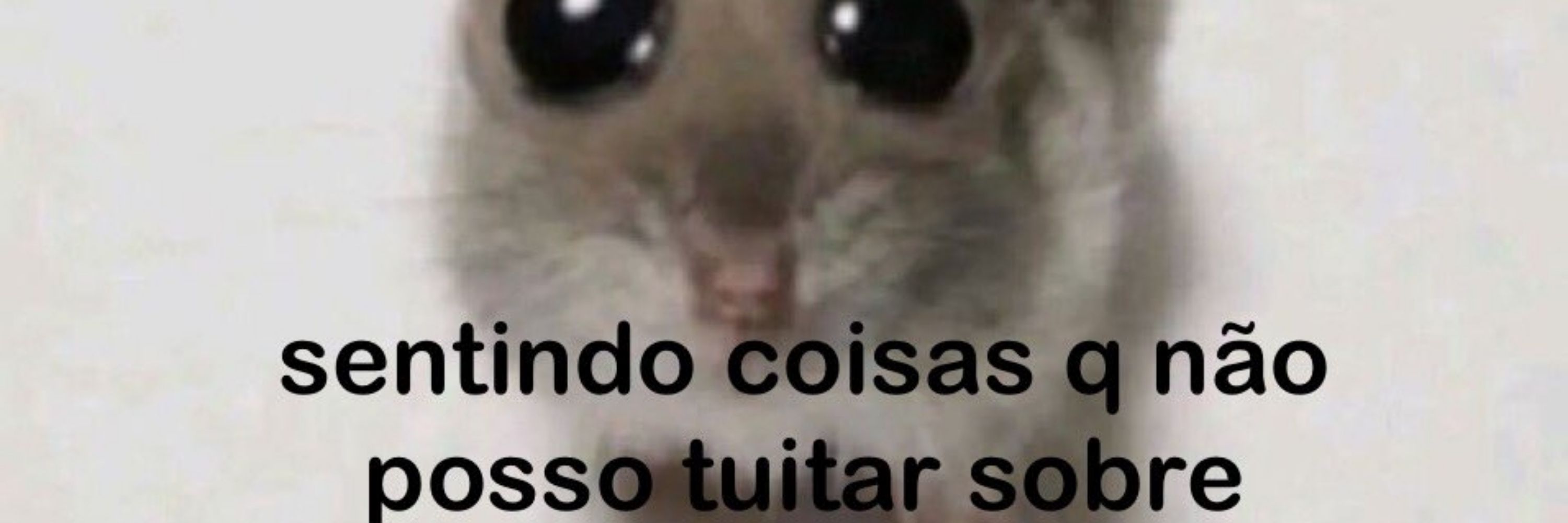 🌙Nic