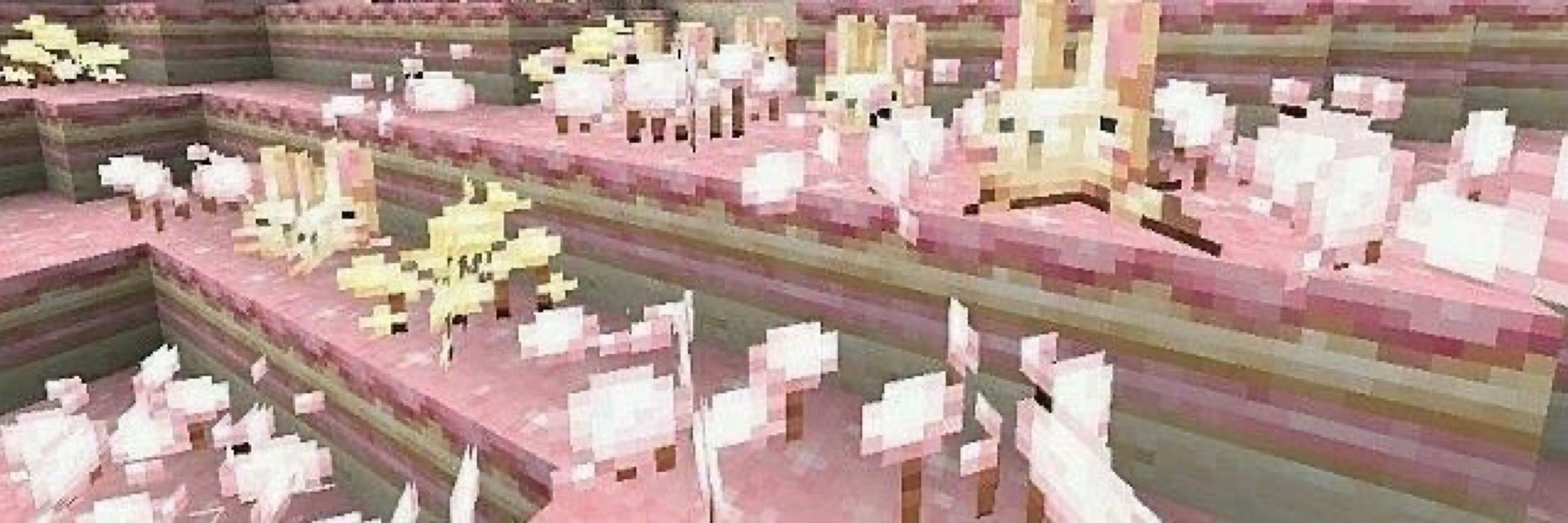𝑰𝒔𝒂 