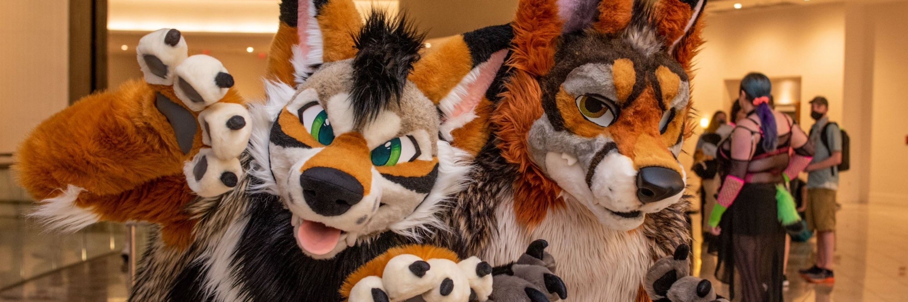 Polo Yote!