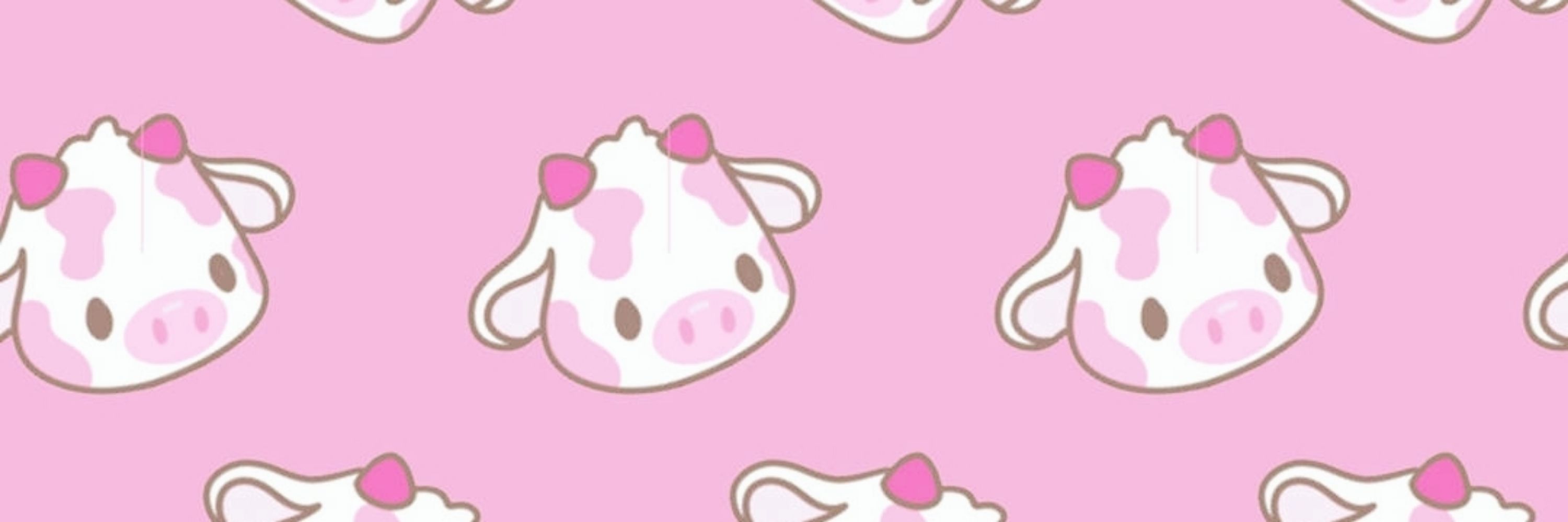 ♡ Lina ૮ ˙Ⱉ˙ ა ♡
