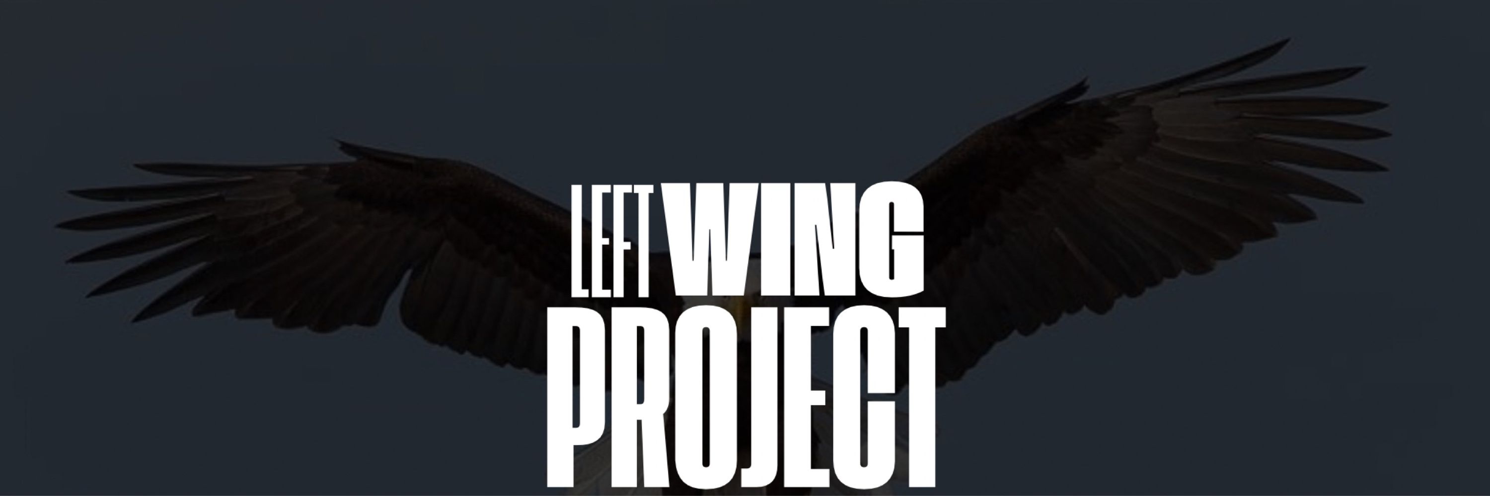 Left Wing