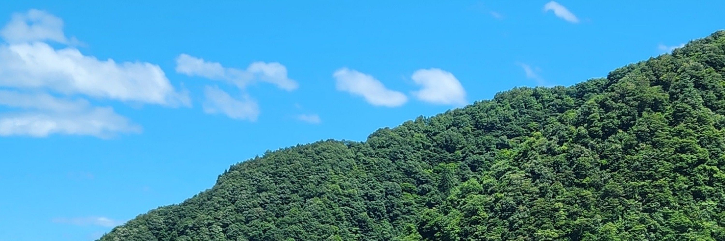 こしゅん