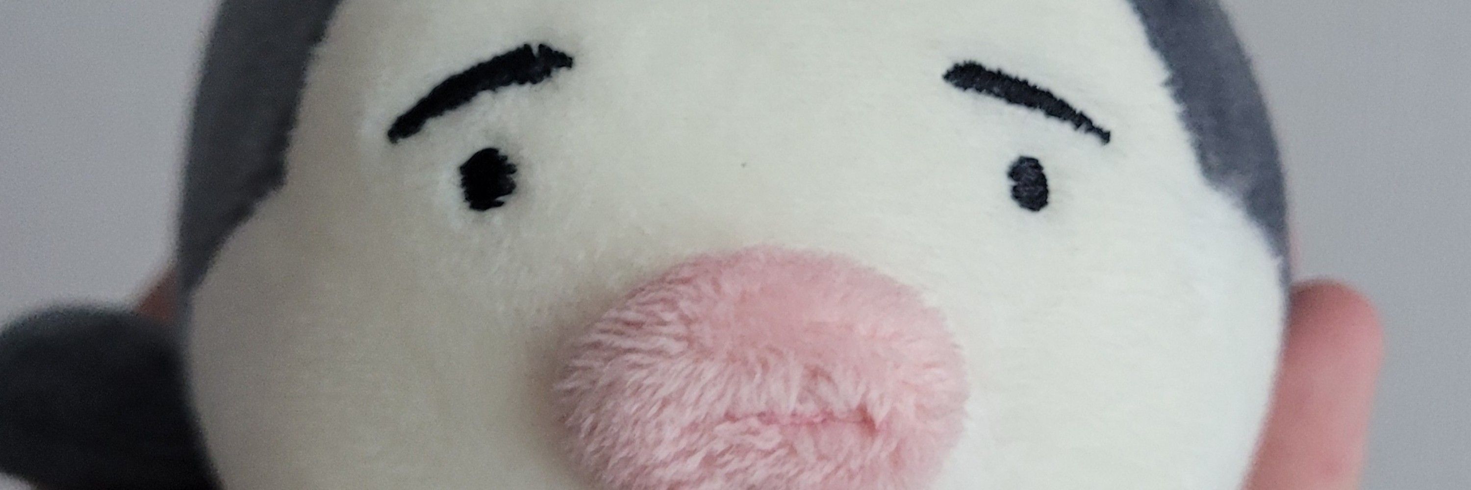 224(세달연속부스라는잘못된선택을한핑)
