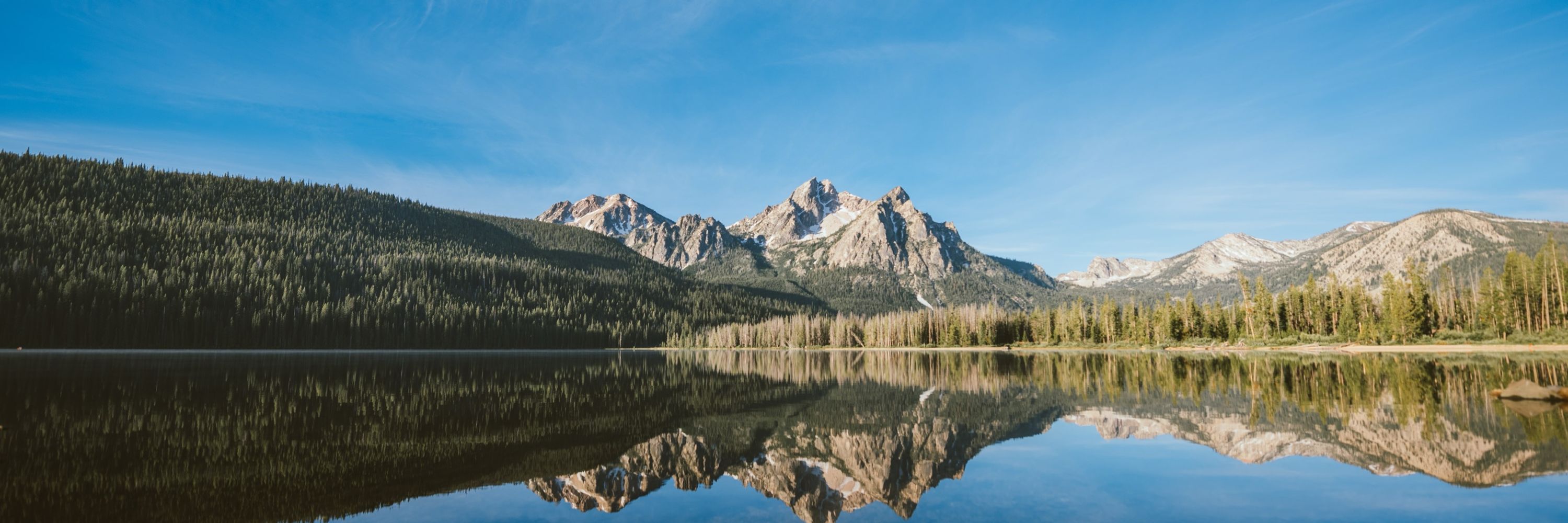 The State of Idaho