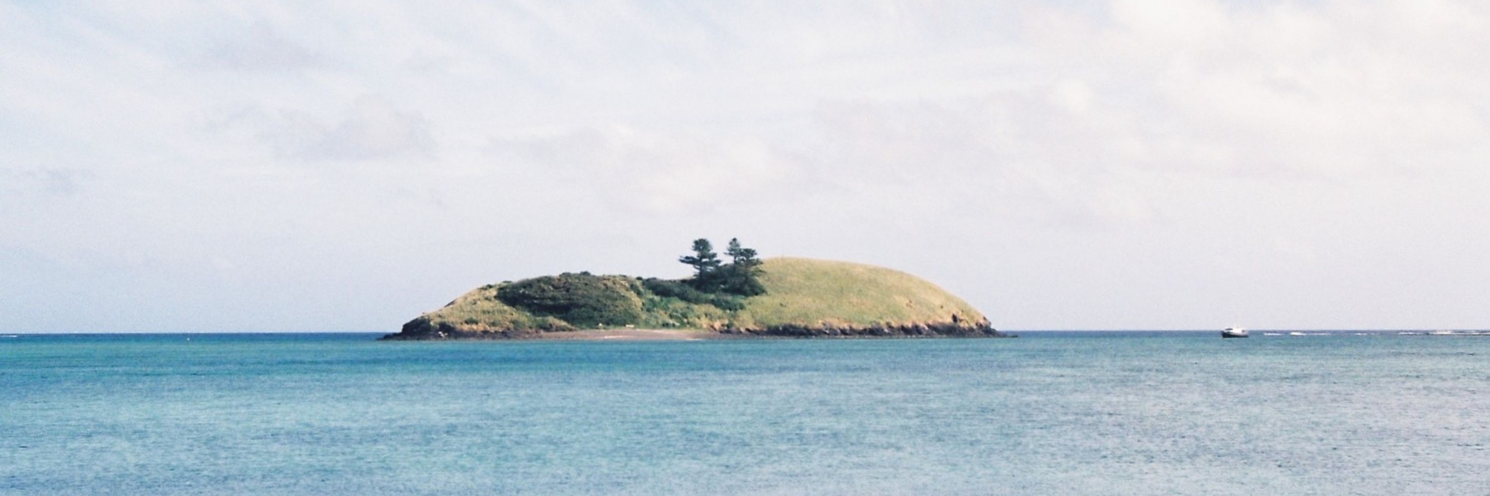 Alix de Jersey