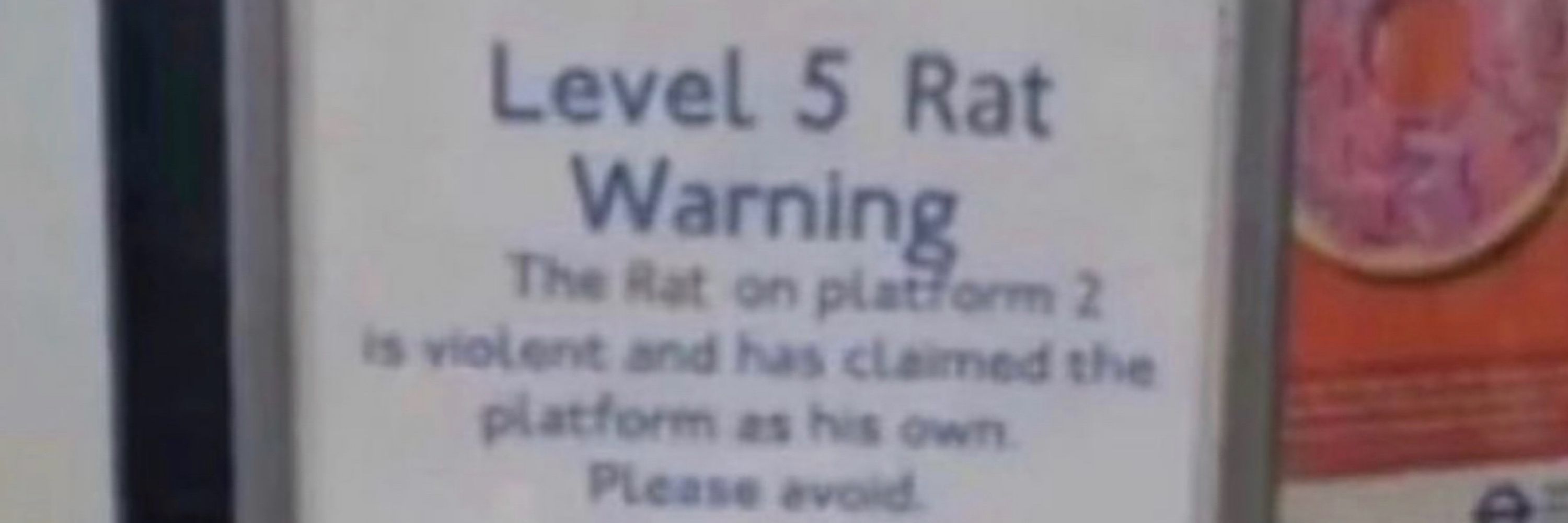 RAT KING 🇩🇴 (JoJo)