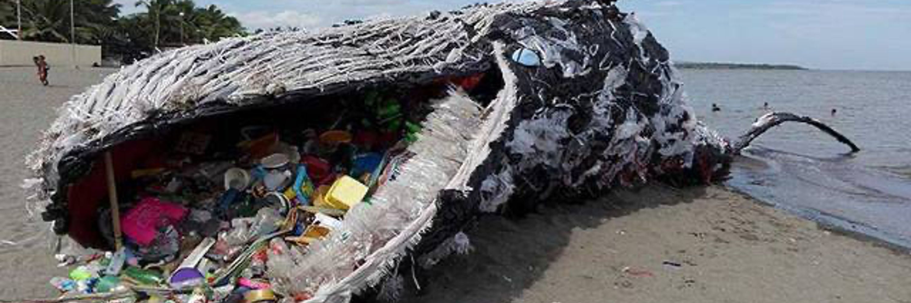 Avoiding Plastic