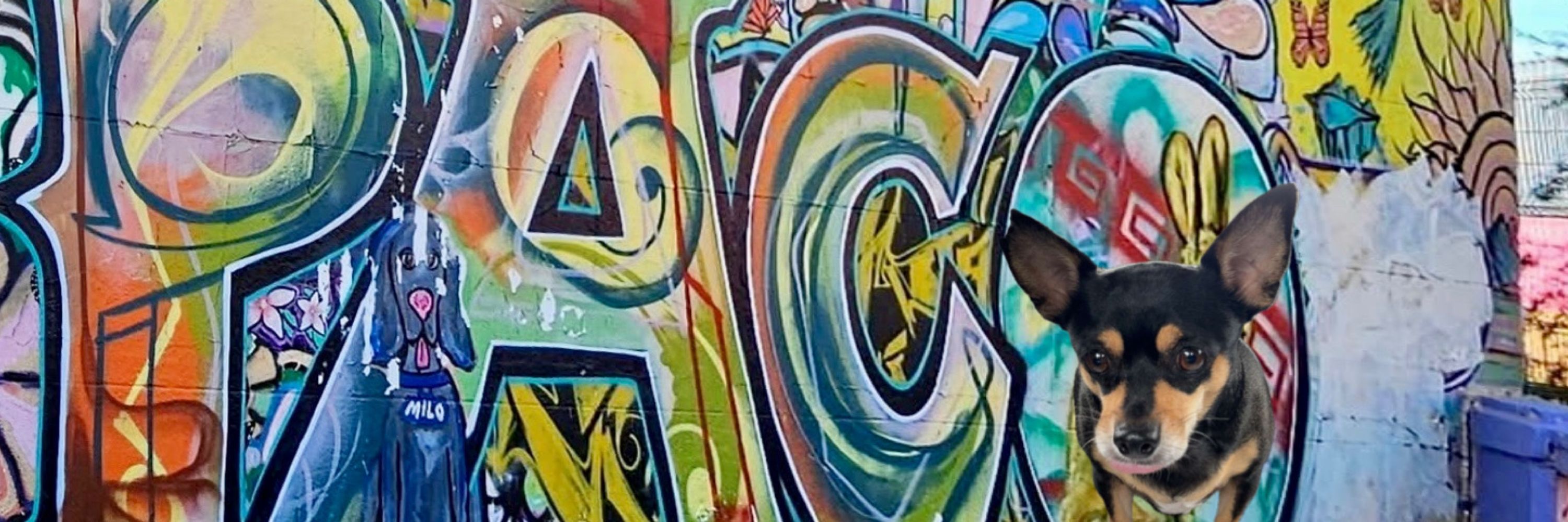 Lisa Rebel