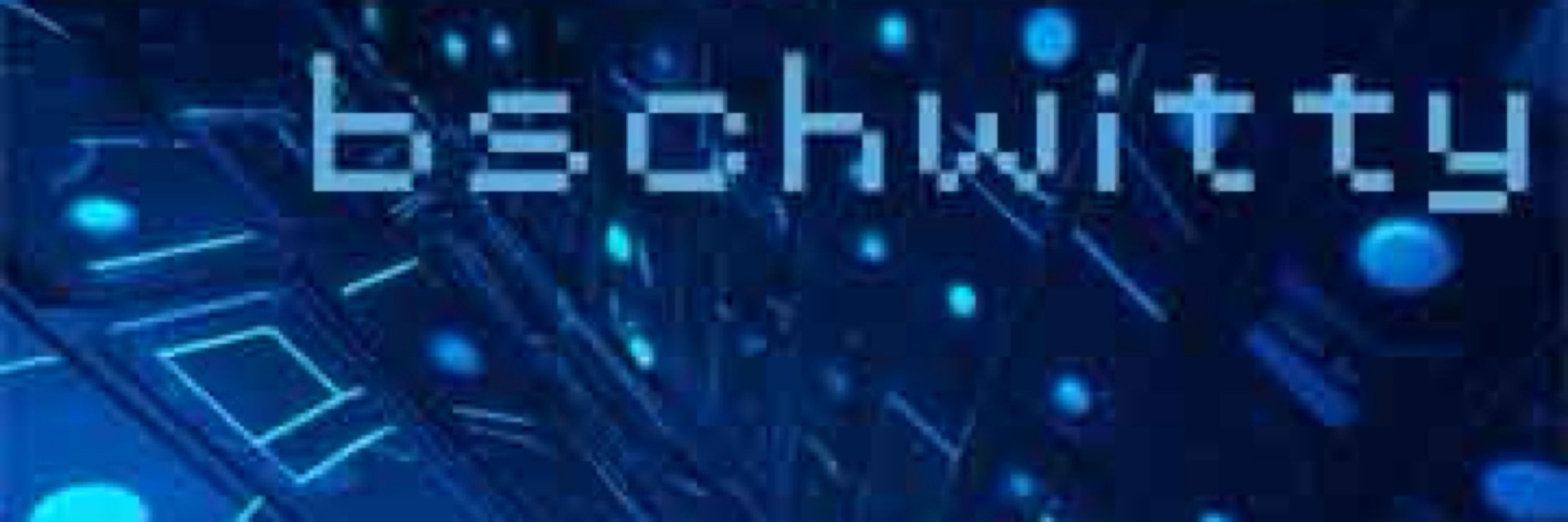 bschwitty