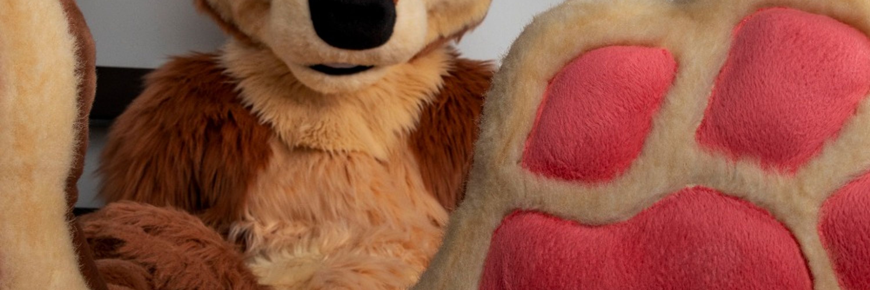 BigPawbs