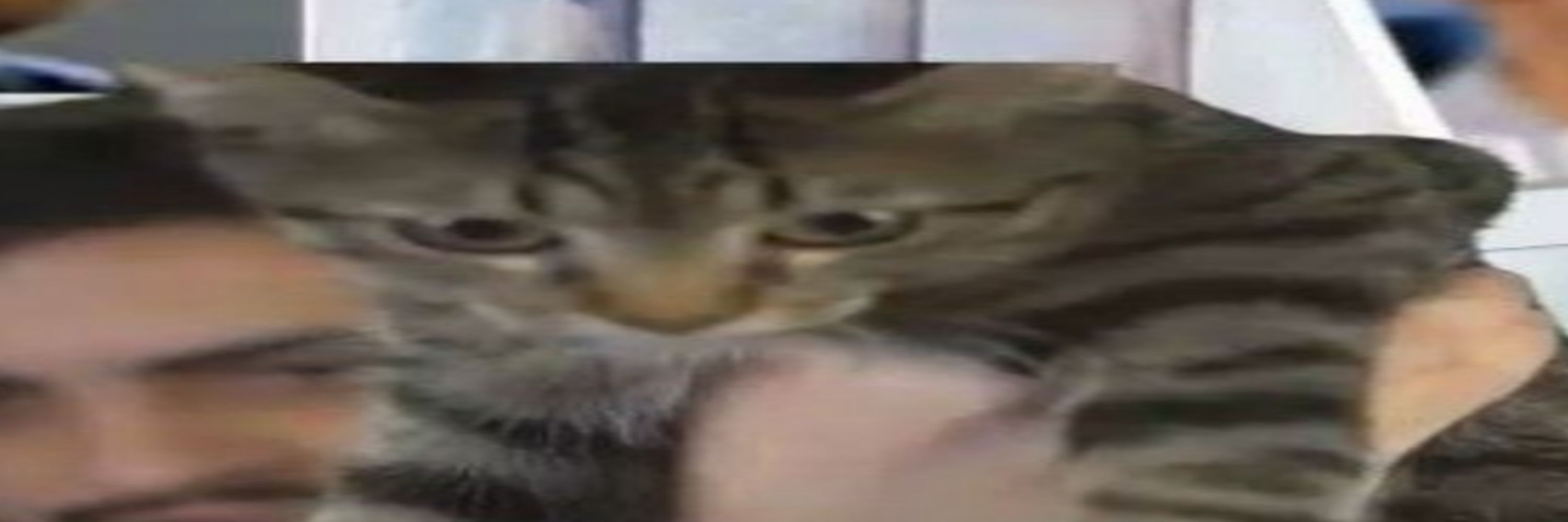 K𝖆𝖚𝖊ツ
