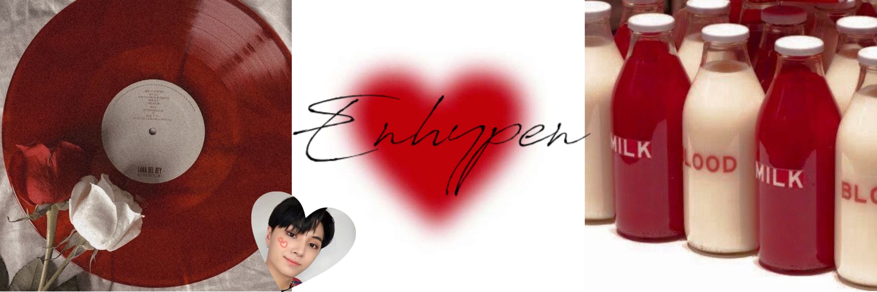 ❤️Rose President Engene ཐི ₍ᐢ. ̞.ᐢ₎ ཋྀ❤️