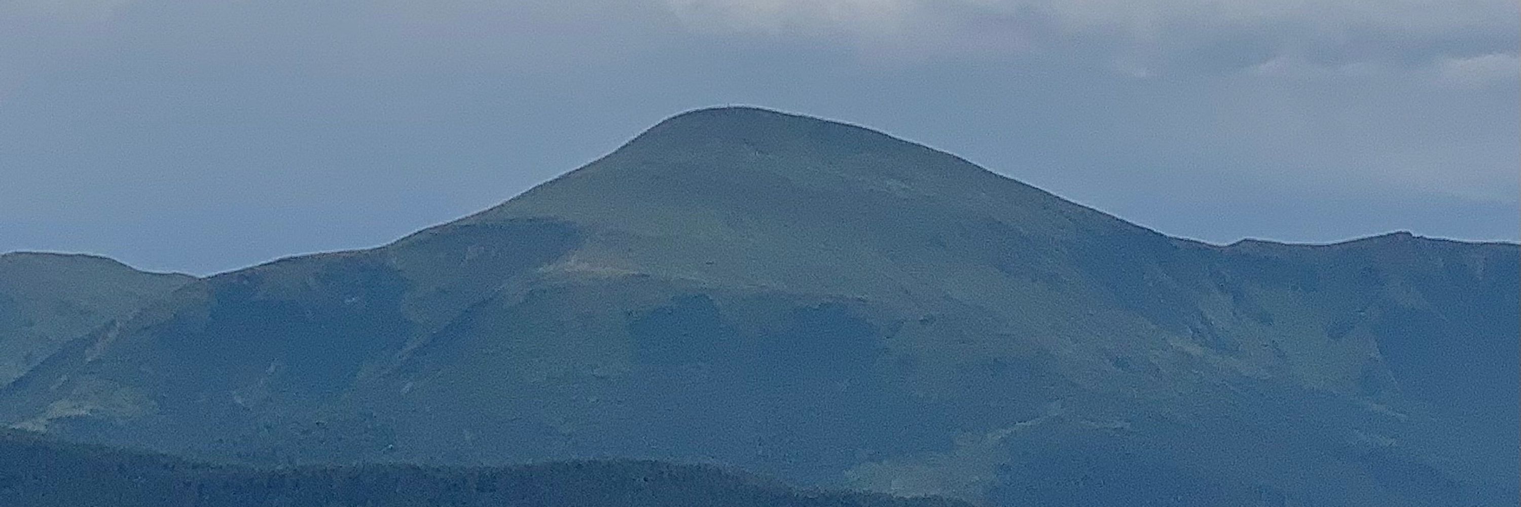 Nesiogodnishna