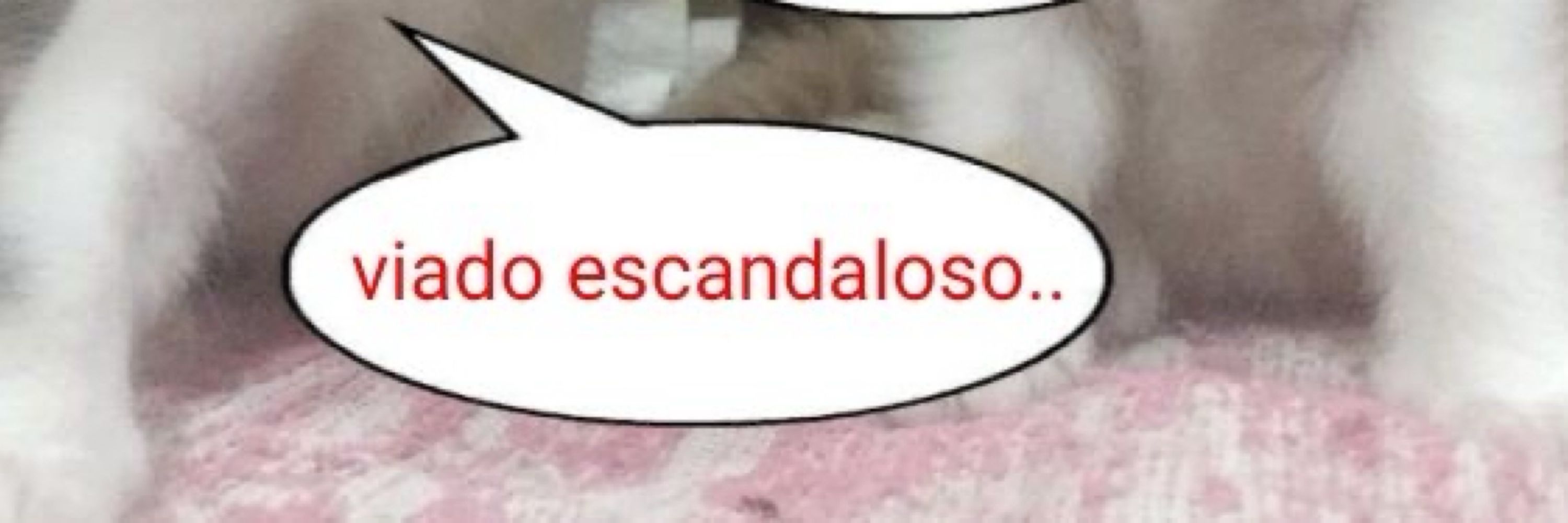 ★Micca★