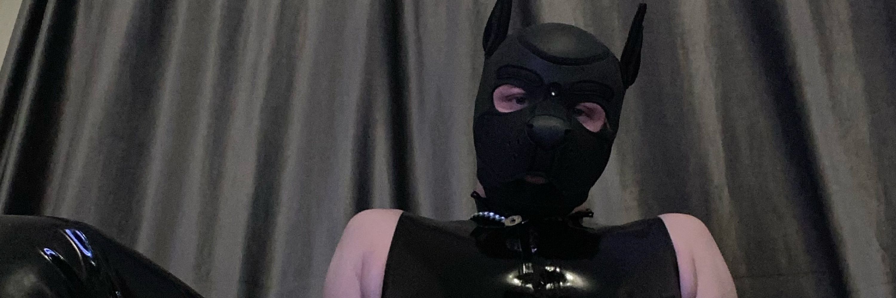 Pup Fritz