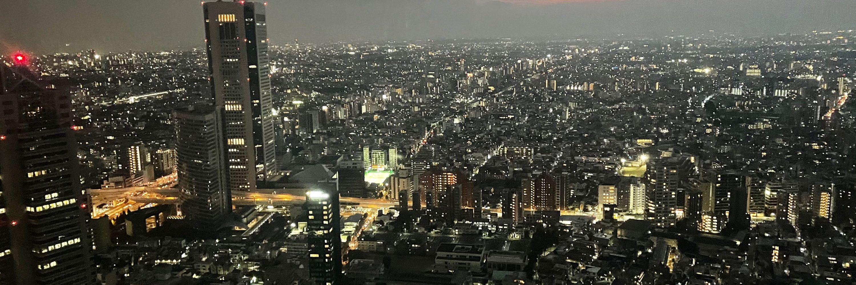 お散歩