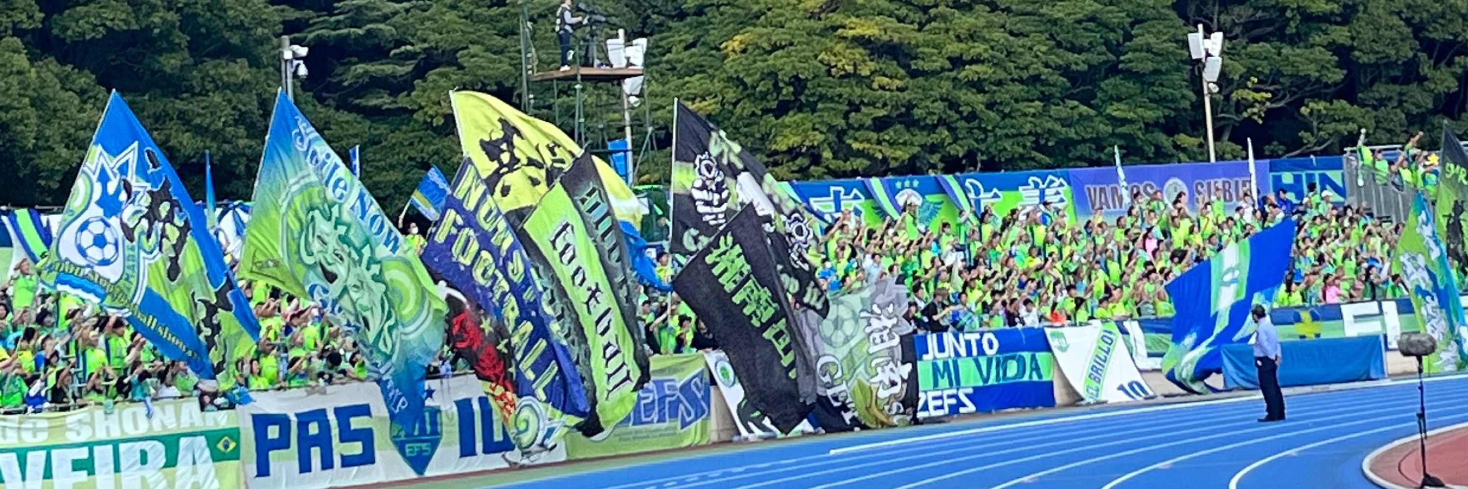 アオキンノス