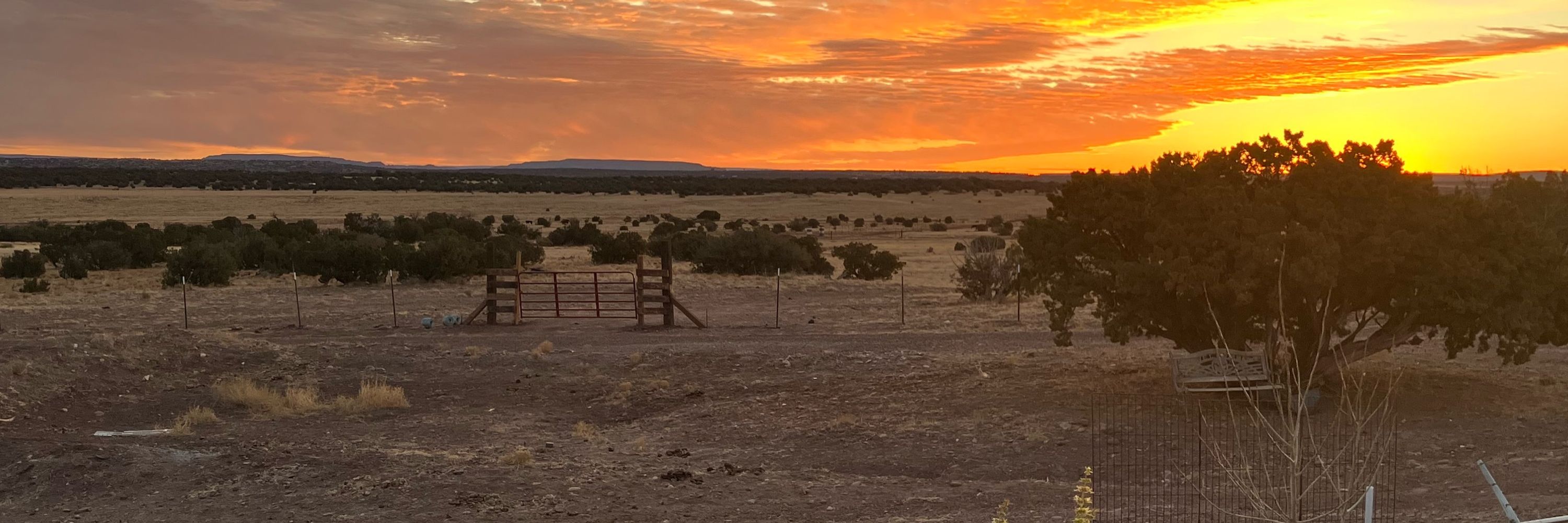 Fossil Ranch horse sanctuary